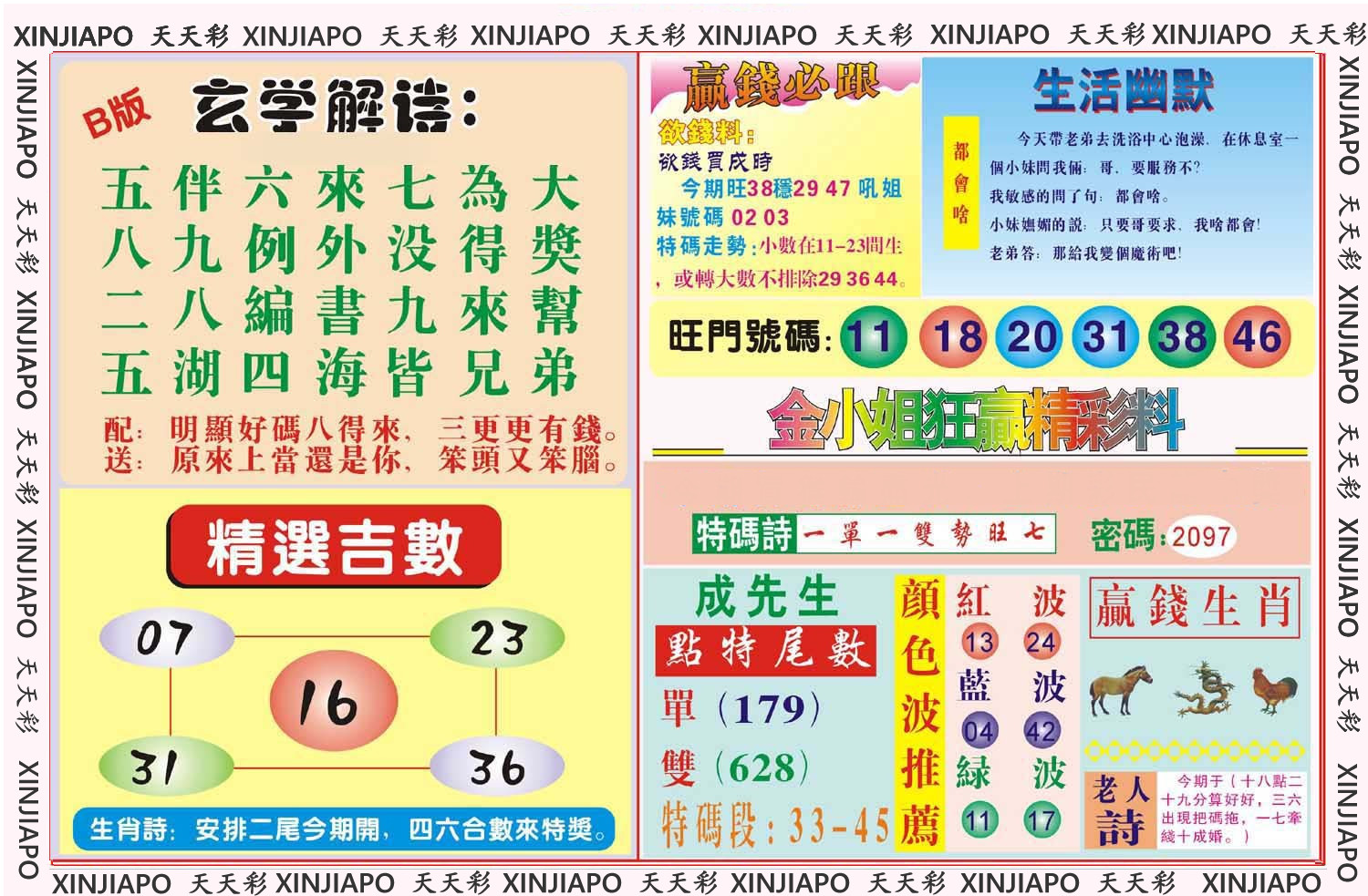 金小姐狂赢精彩料